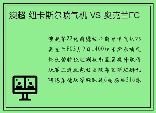 澳超 纽卡斯尔喷气机 VS 奥克兰FC 澳超 纽卡斯尔喷气机 VS 奥克兰FC
