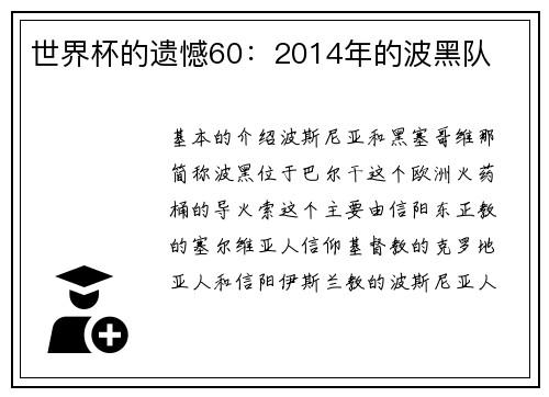 世界杯的遗憾60：2014年的波黑队