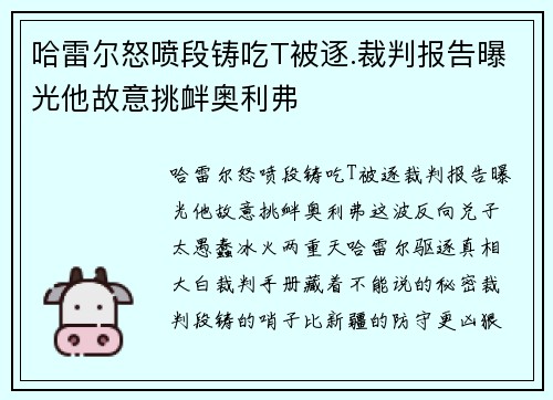 哈雷尔怒喷段铸吃T被逐.裁判报告曝光他故意挑衅奥利弗
